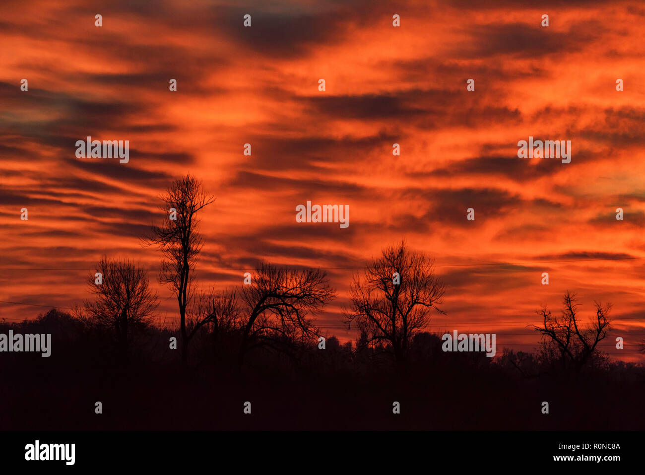 Dramatic sunset sky with bare tree silhouettes Stock Photo - Alamy