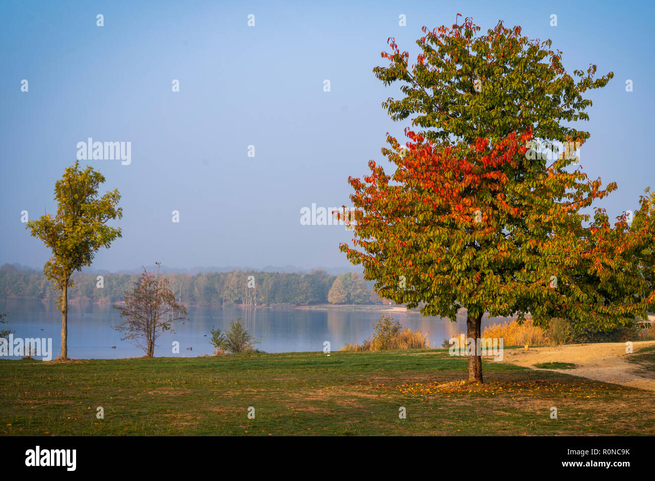 Herbst am See Stock Photo - Alamy