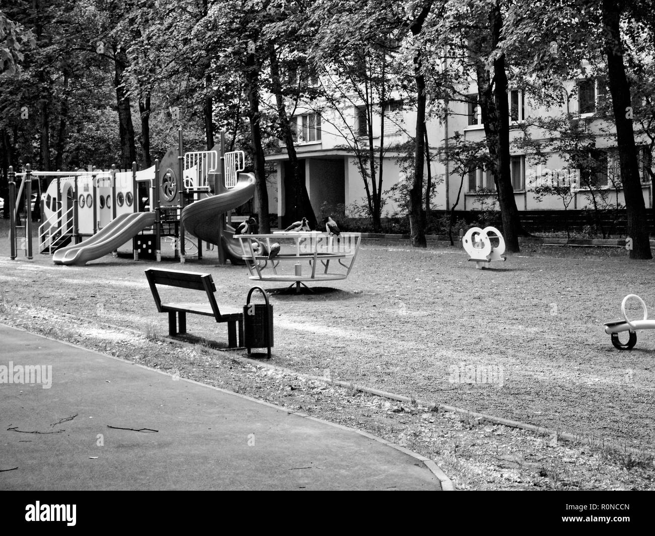 crows on the Playground in the morning, Moscow Stock Photo