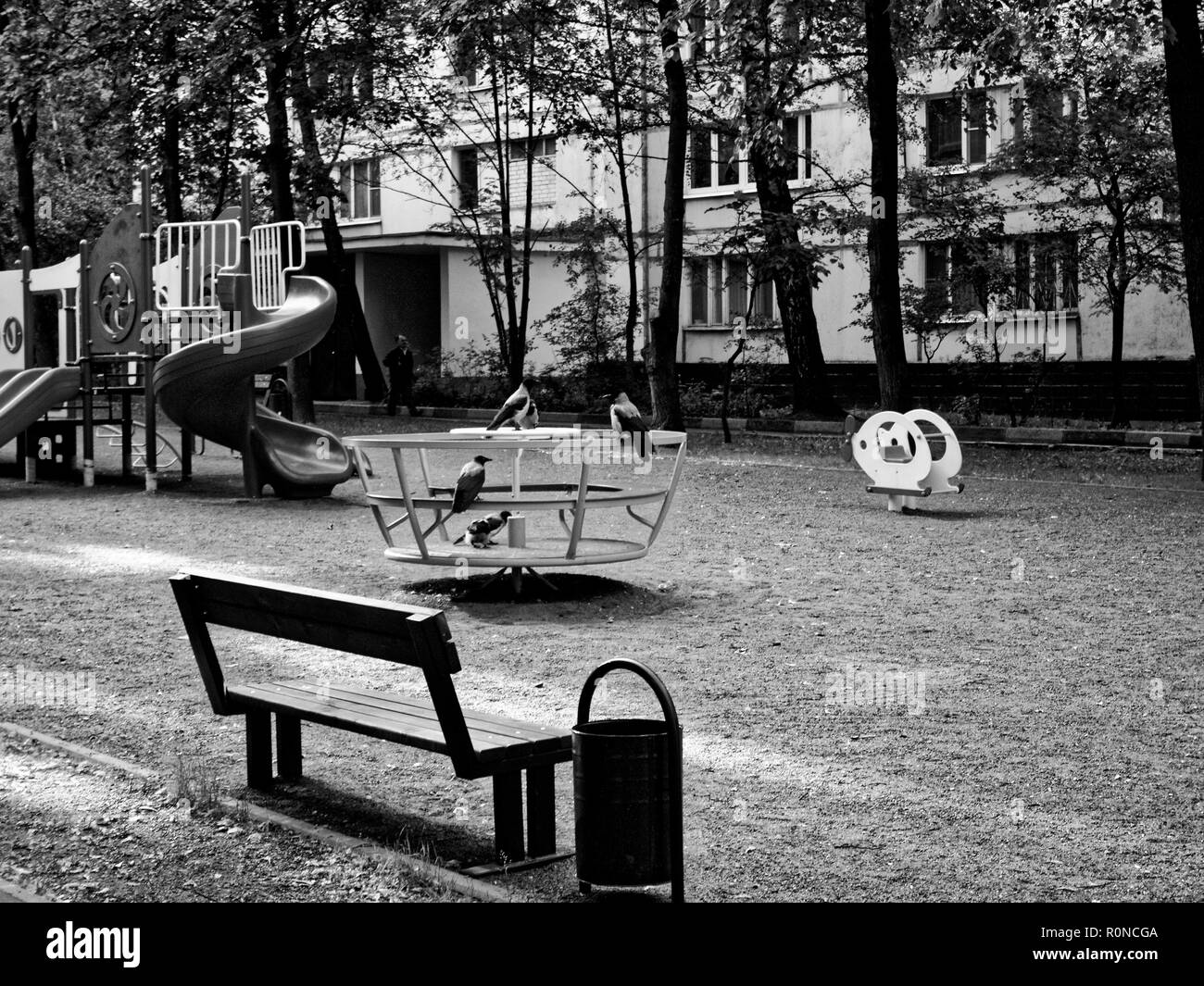 crows on the Playground in the morning, Moscow Stock Photo