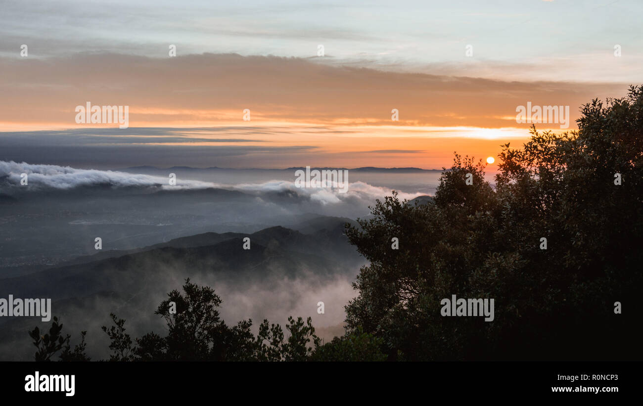 Sun rises between the trees Stock Photo - Alamy