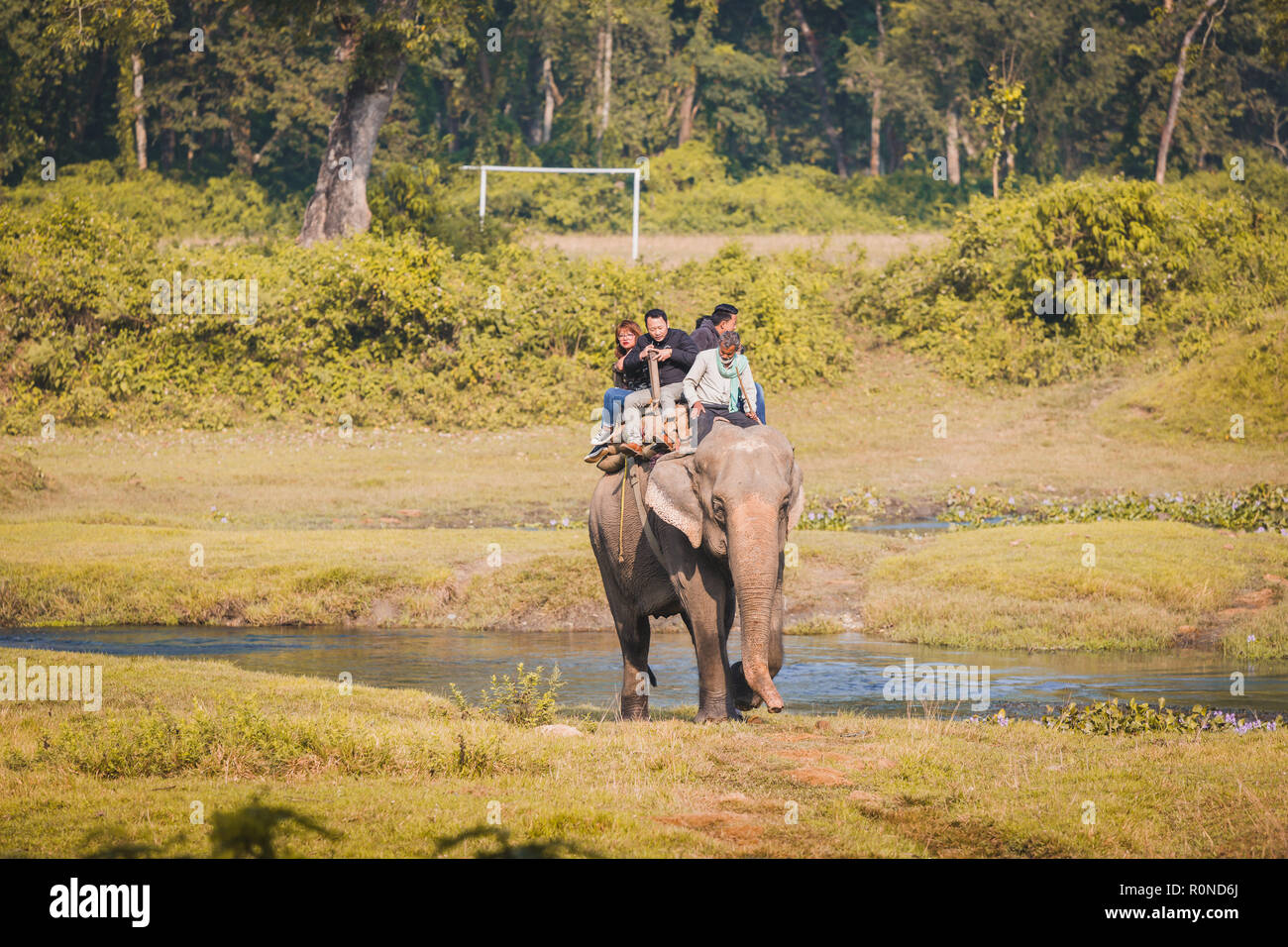 Chitwan,Nepal - Oct 23,2018: Elephant Safari,Group of Tourists riding ...