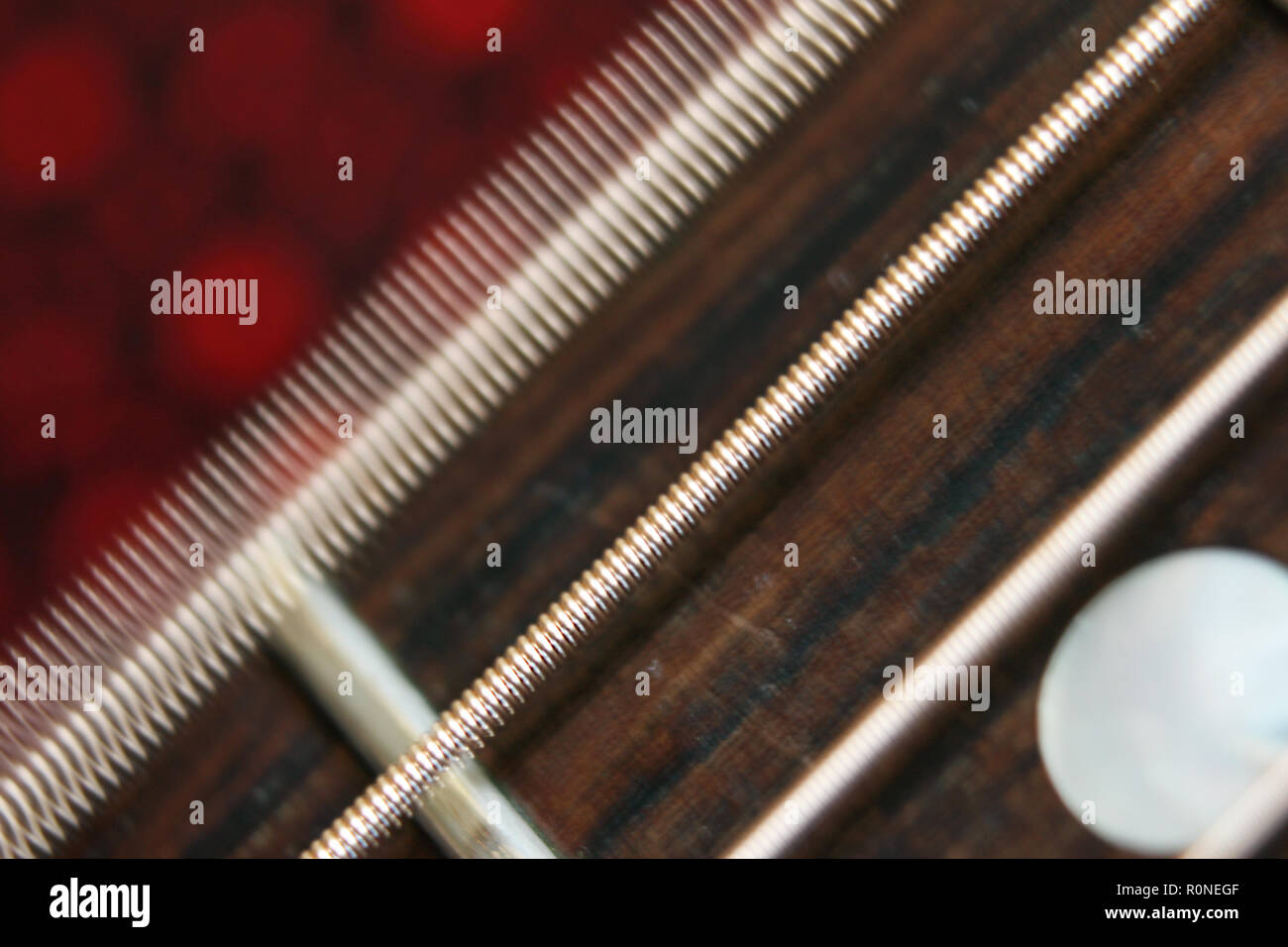 Acoustic guitar ivory fretboard with steel strings vibrating, closeup