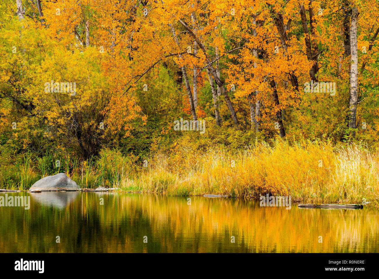 A tranquil scene at Tims Pond during autumn in Washington state Stock Photo