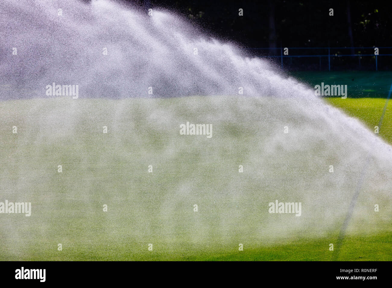 Sprinkler system working on fresh green grass on football (soccer