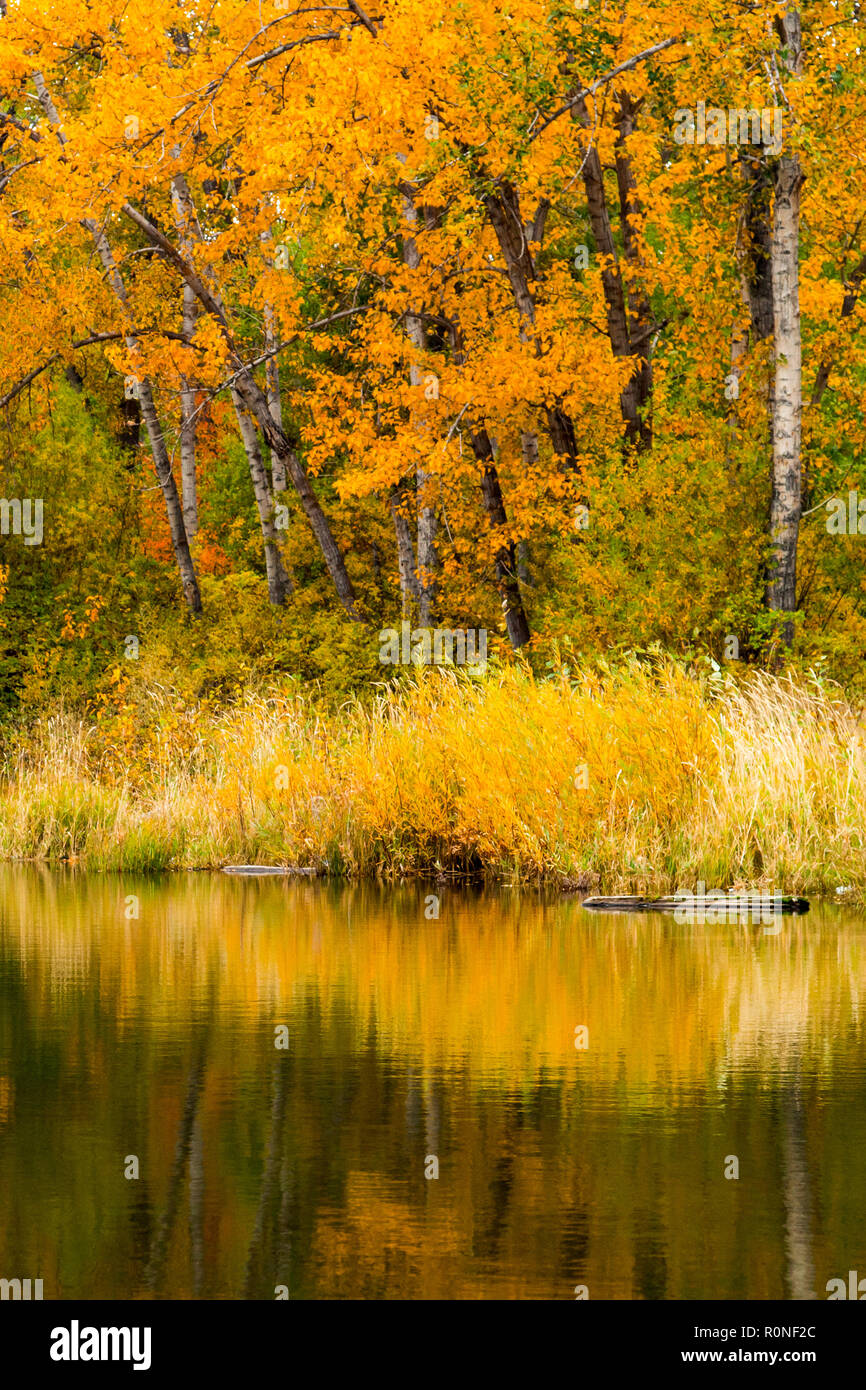 A tranquil scene at Tims Pond during autumn in Washington state Stock Photo