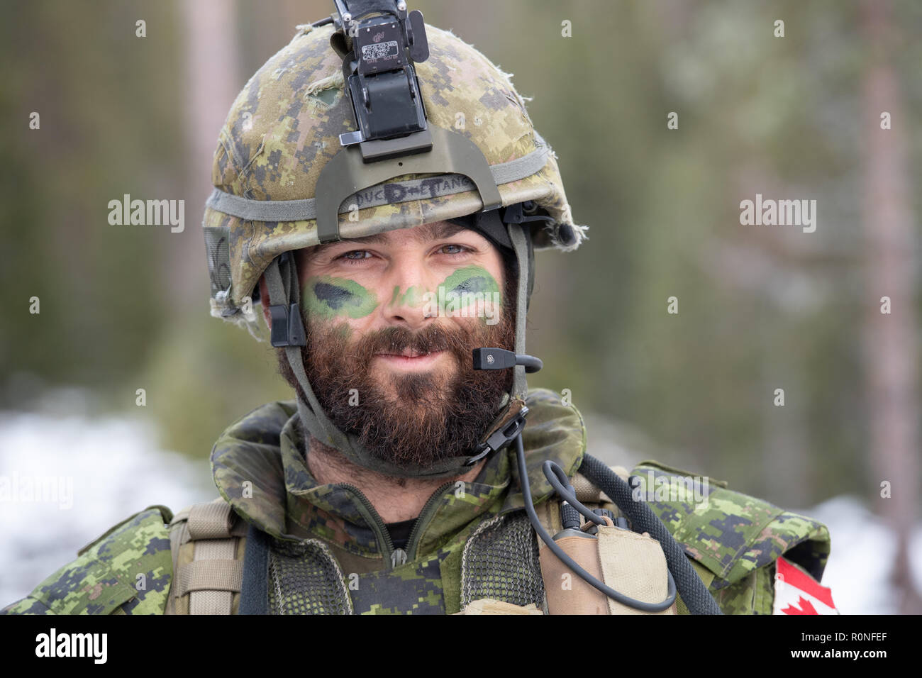 10,000+ Canadian Soldier Stock Photos, Pictures & Royalty-Free Images -  iStock