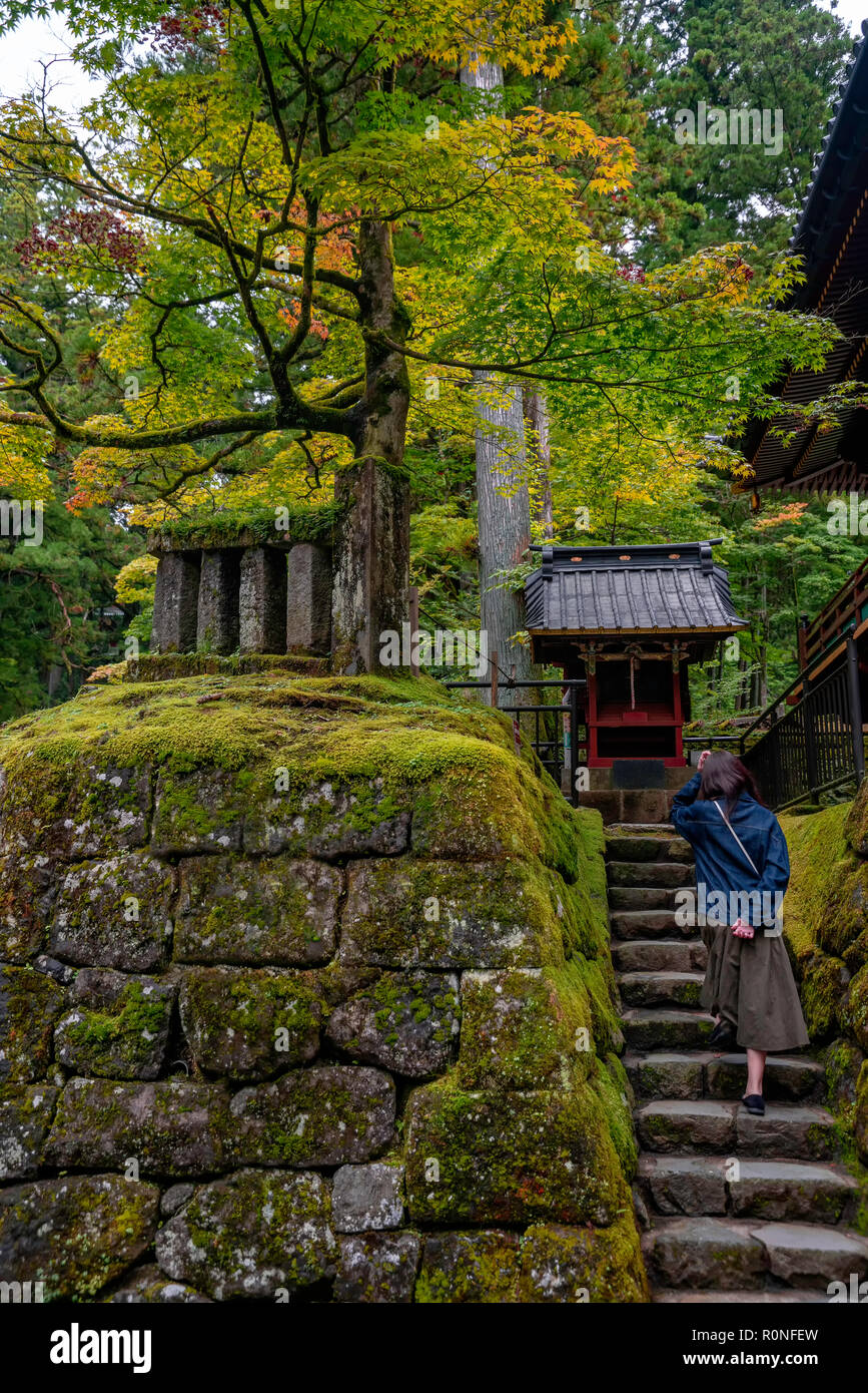 Worshiper climbing the stairs to a small Shinto Shrine in Nikko, Japan. Stock Photo