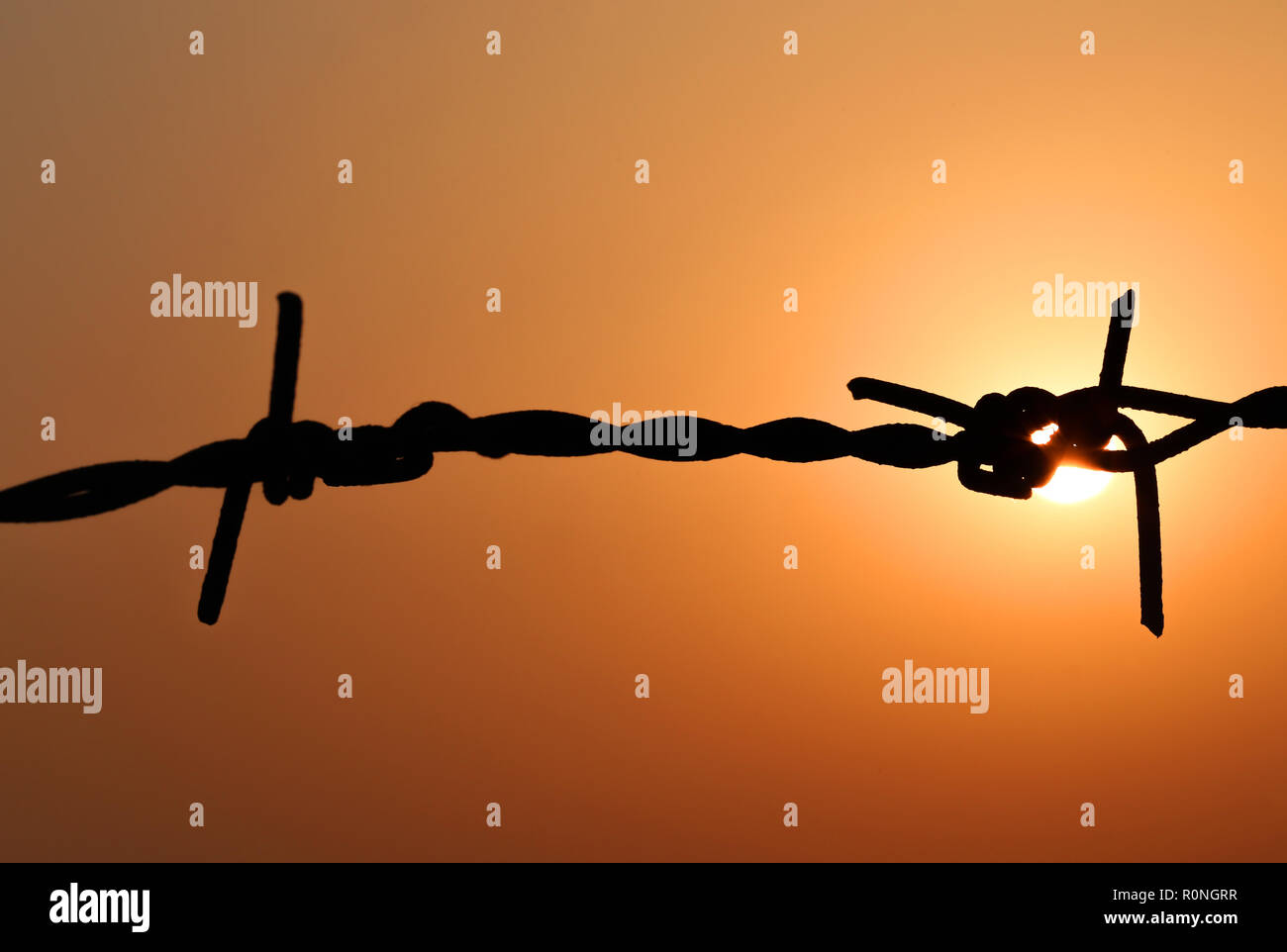 Setting sun behind a fence of barbed wire Stock Photo - Alamy