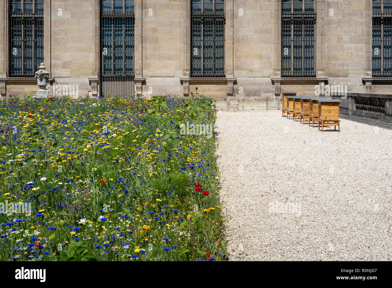 Wild flower garden at The Louvre in Paris, with bee hives beside it. Summer 2018 Stock Photo