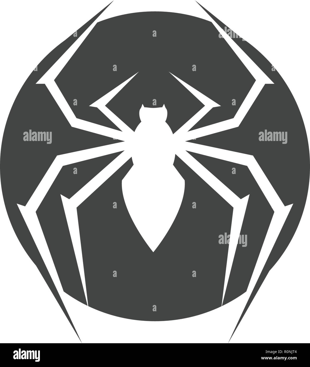 spider design