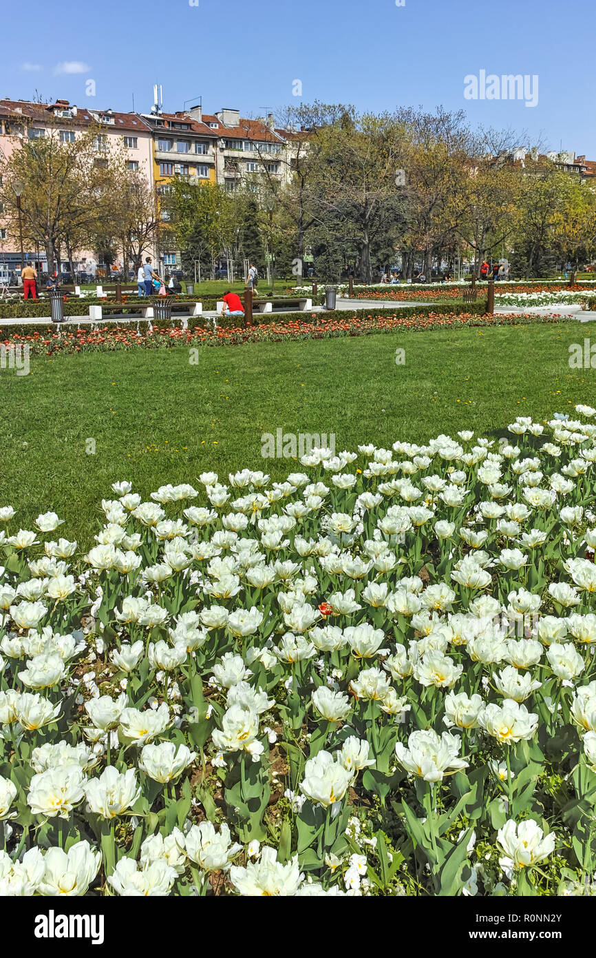 SOFIA, BULGARIA APRIL 14, 2018 Flowers in the park in front of