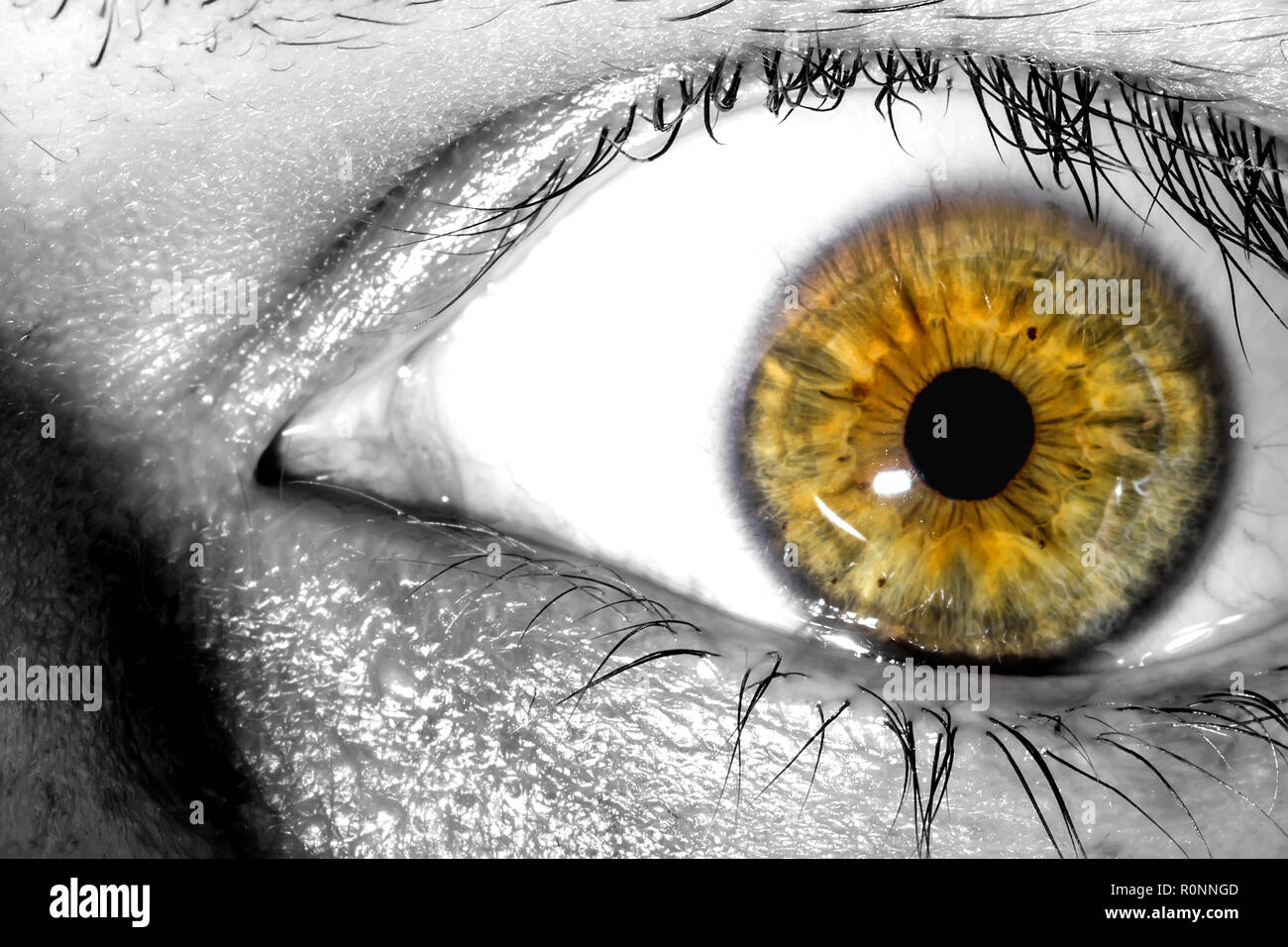 Human eye with a sunlight near the pupil macro  close-up texture background Stock Photo