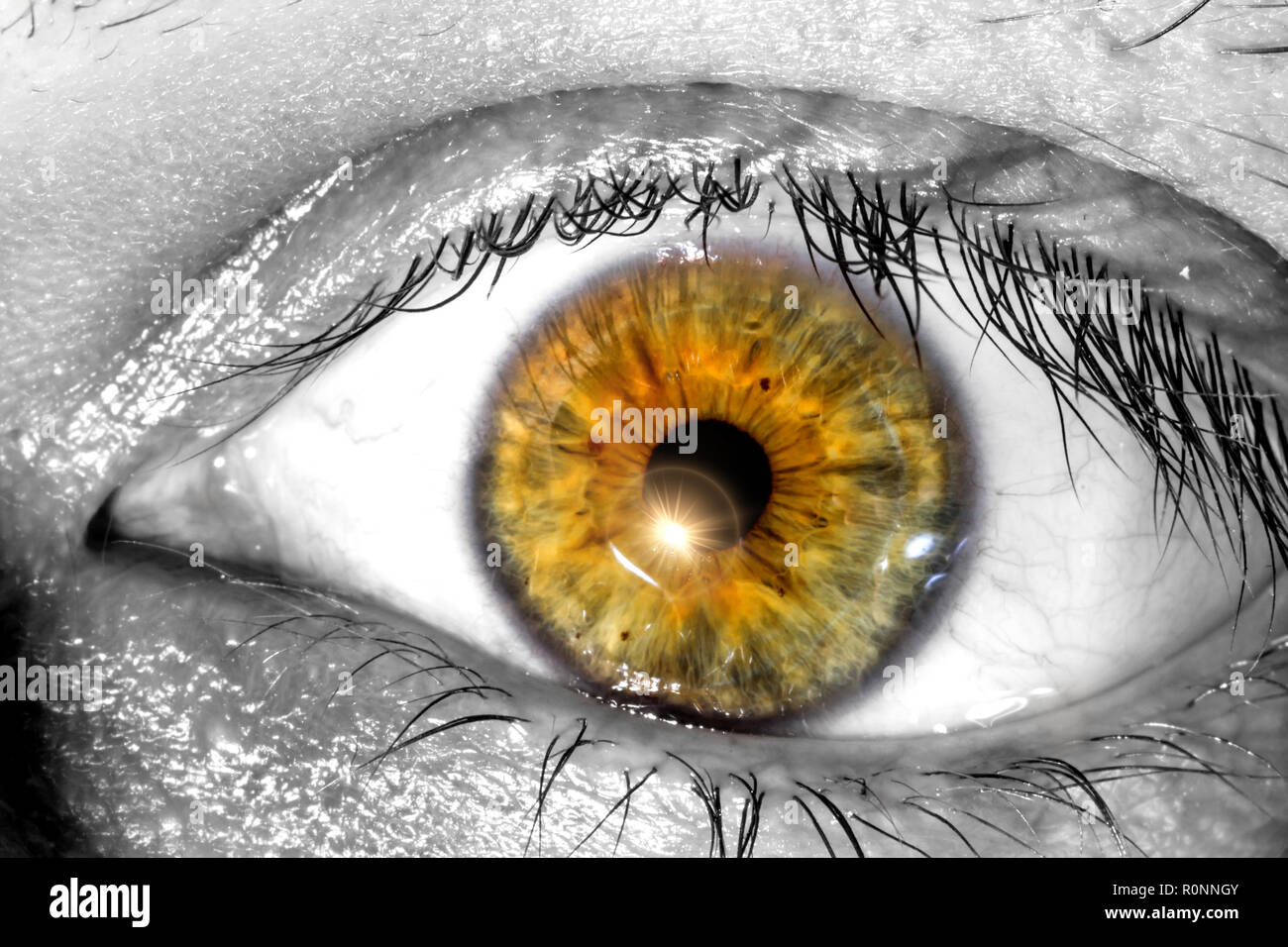 Human eye with a sunlight near the pupil macro  close-up texture background Stock Photo