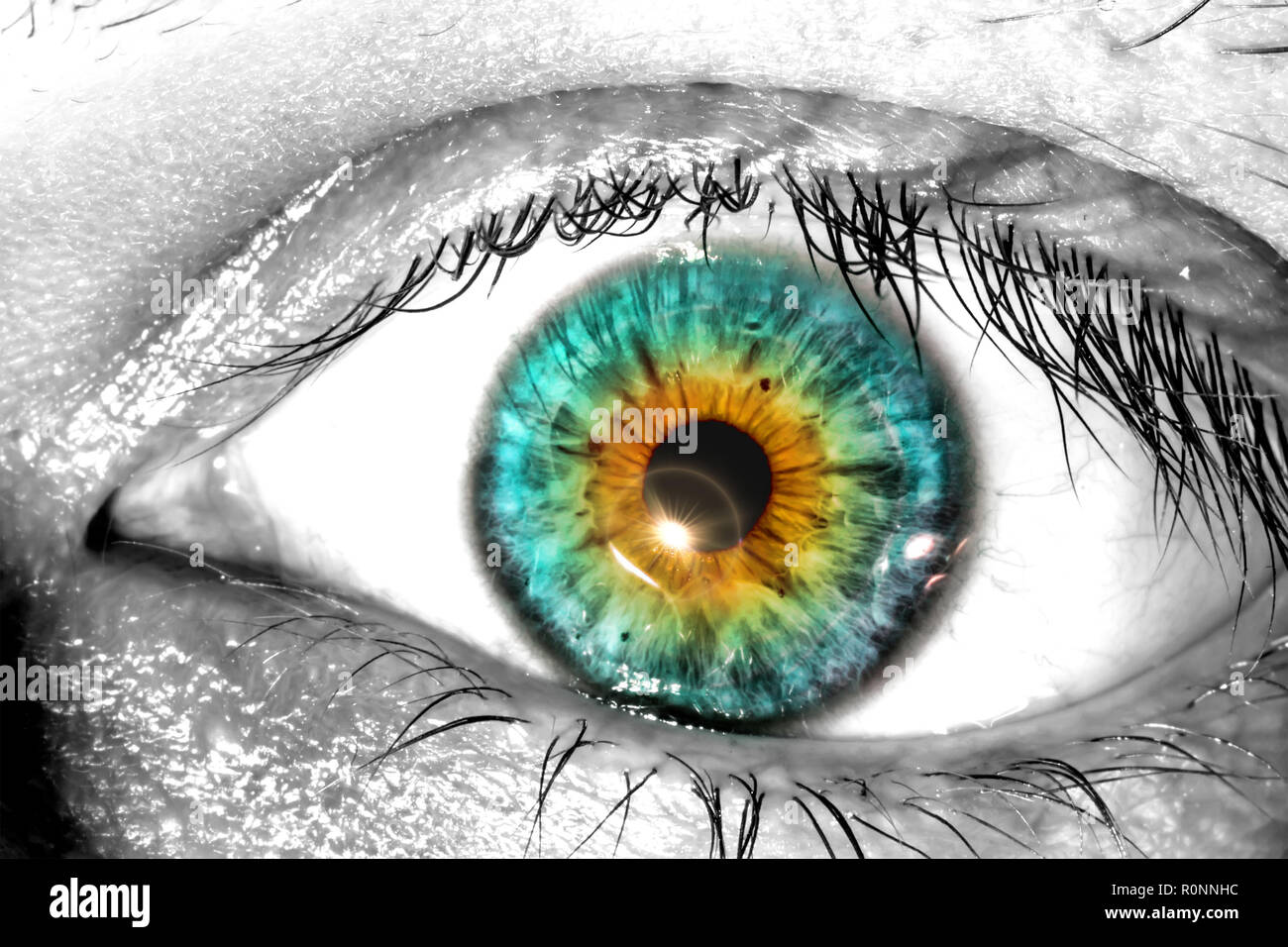 Colorful human eye with a sunlight near the pupil macro  close-up texture background Stock Photo