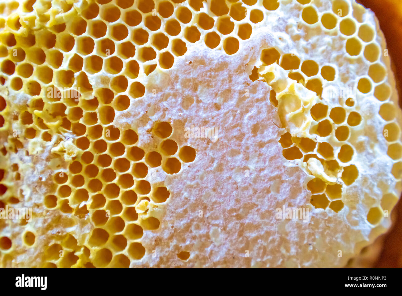 A closeup shot of an abandoned bee hive, empty beautiful Stock Photo Alamy