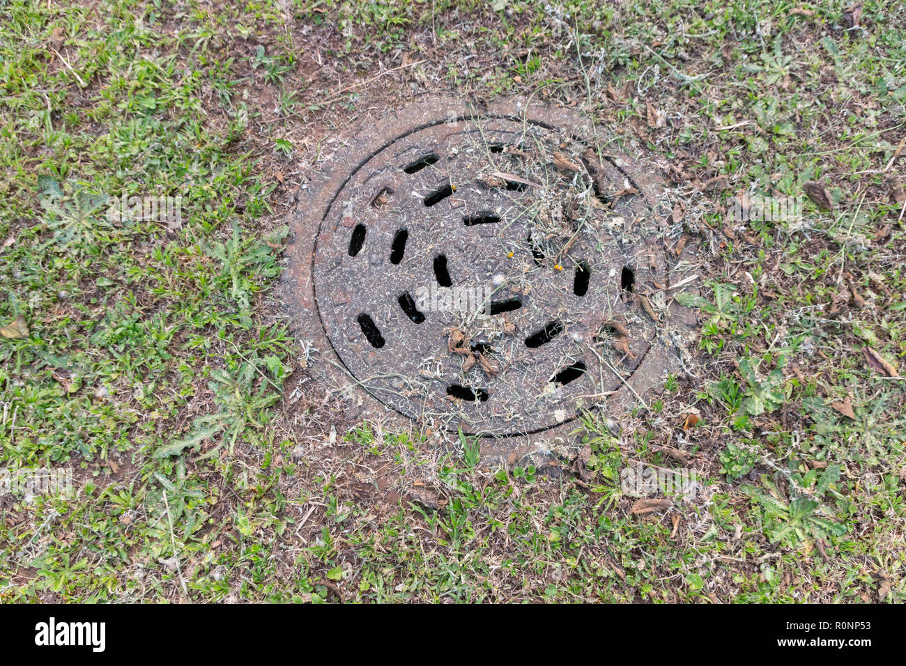 A close up view of a man hole cover, covered in dried cut grass outside in an open garden Stock Photo