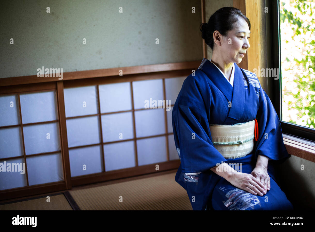 Japanese woman wearing traditional bright blue kimono with cream coloured obi kneeling on floor in traditional Japanese house. Stock Photo
