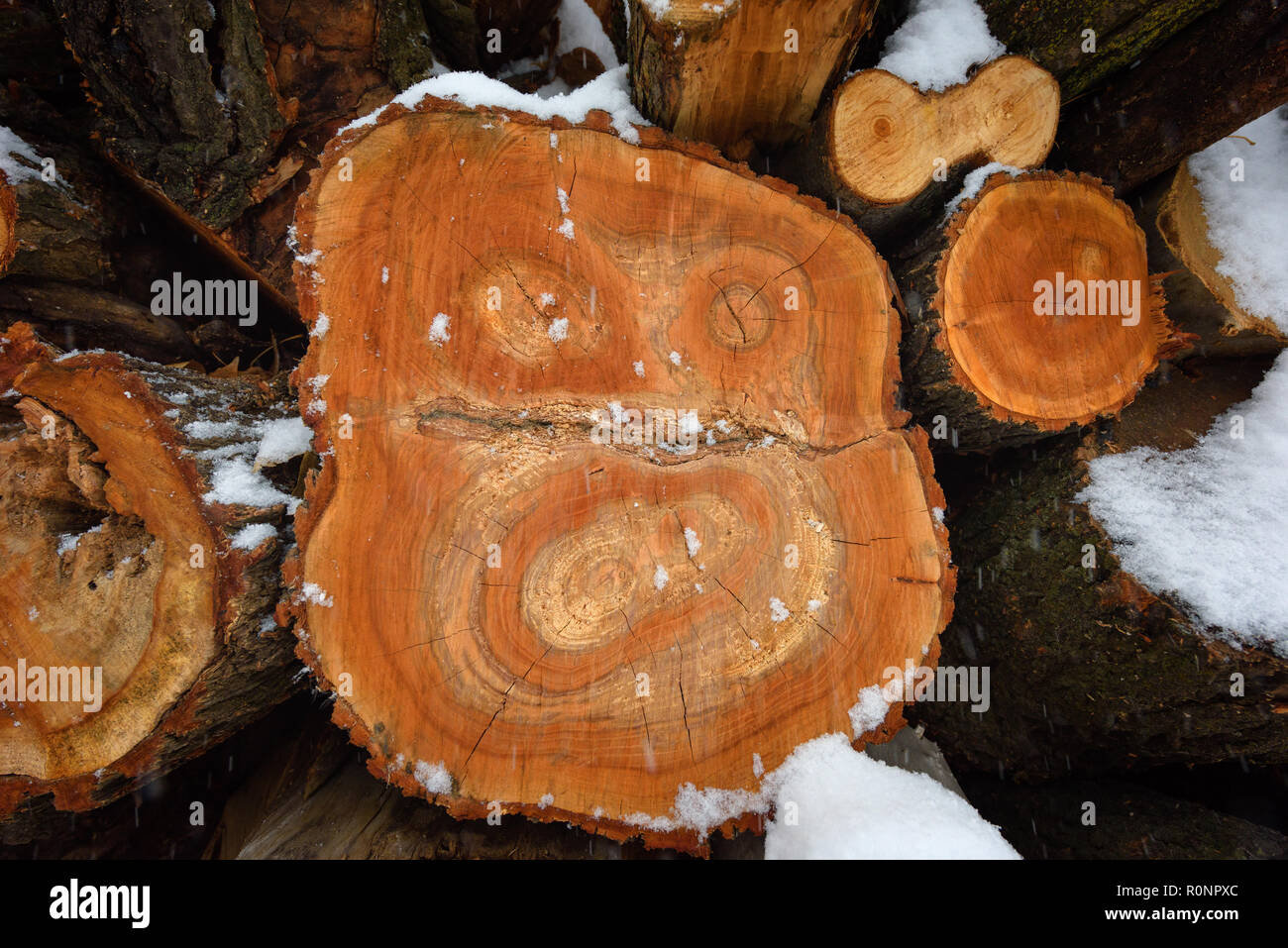Faces of logs in winter. Woodpile of firewood under snow. Abstract ...
