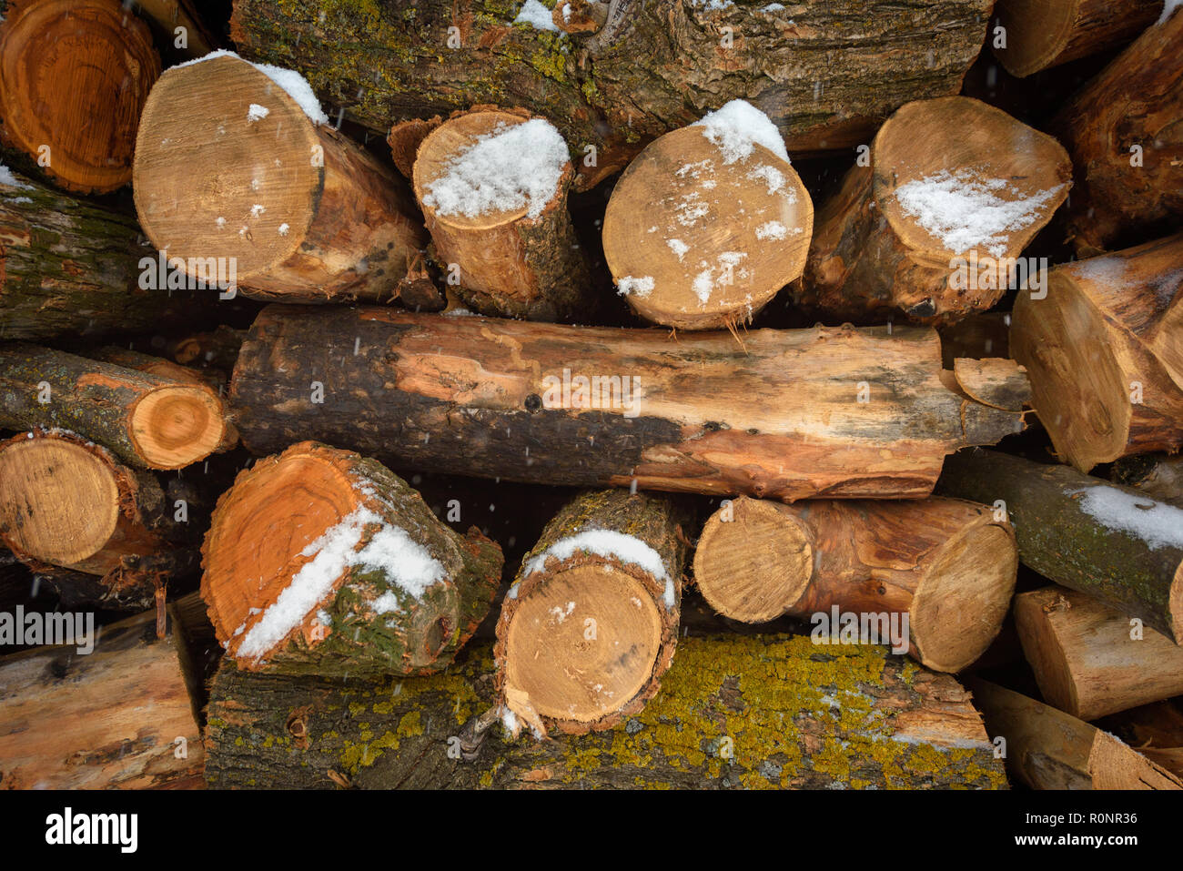 Faces of logs in winter. Woodpile of firewood under snow. Abstract ...