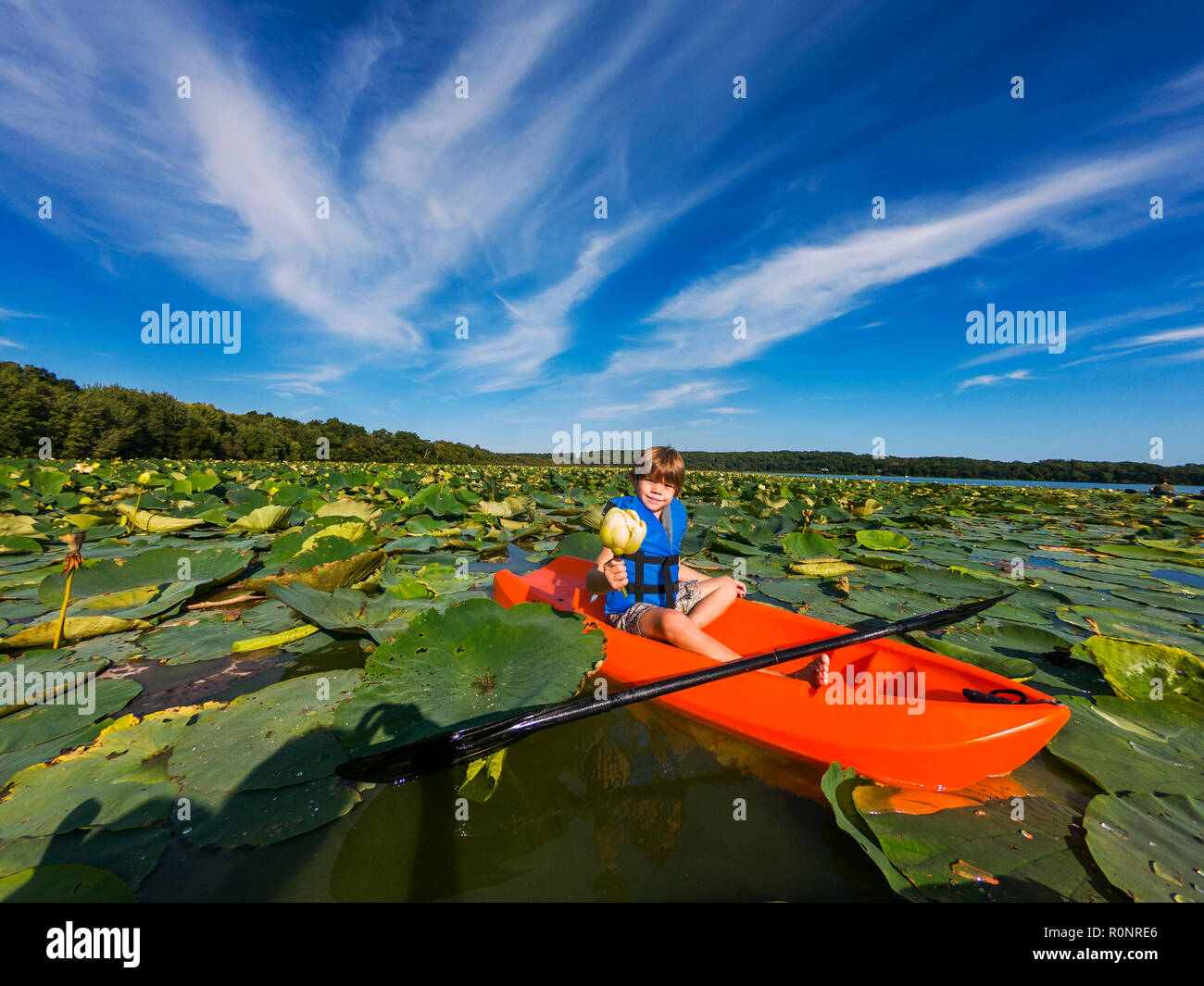Boy sitting in a kayak holding a flower in a lake filled with water lilies, United States Stock Photo