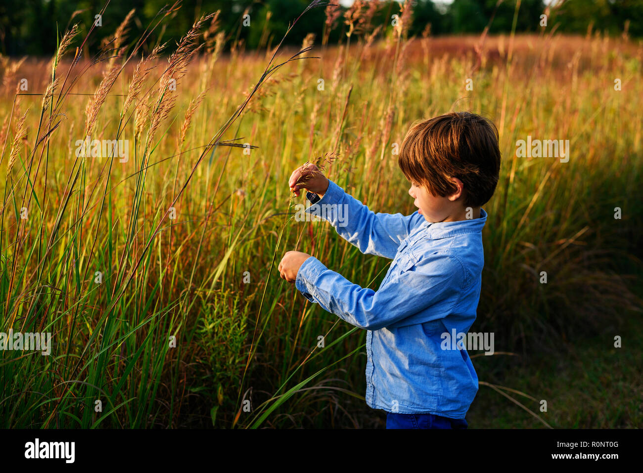 Child touching grass hires stock photography and images Alamy