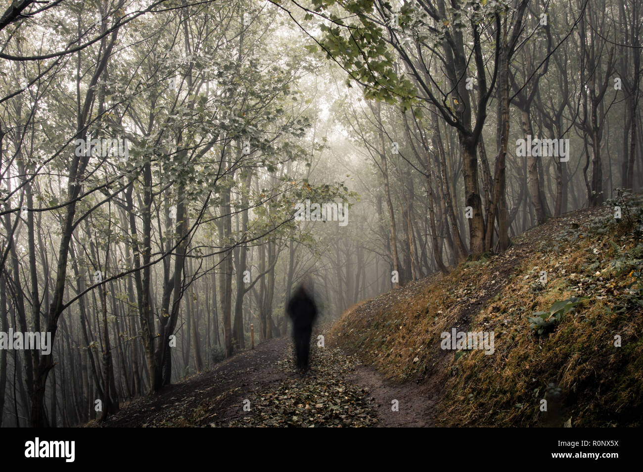A ghostly figure walking in a misty, winter forest, with a vintage muted edit Stock Photo