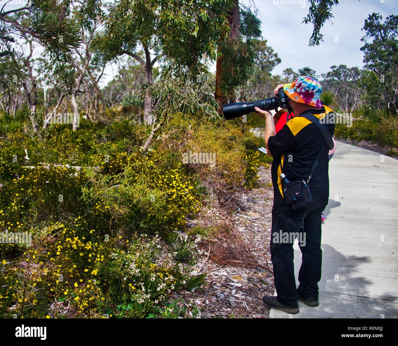 Experienced photographer brough telephoto lens to avoid invading the bush Stock Photo