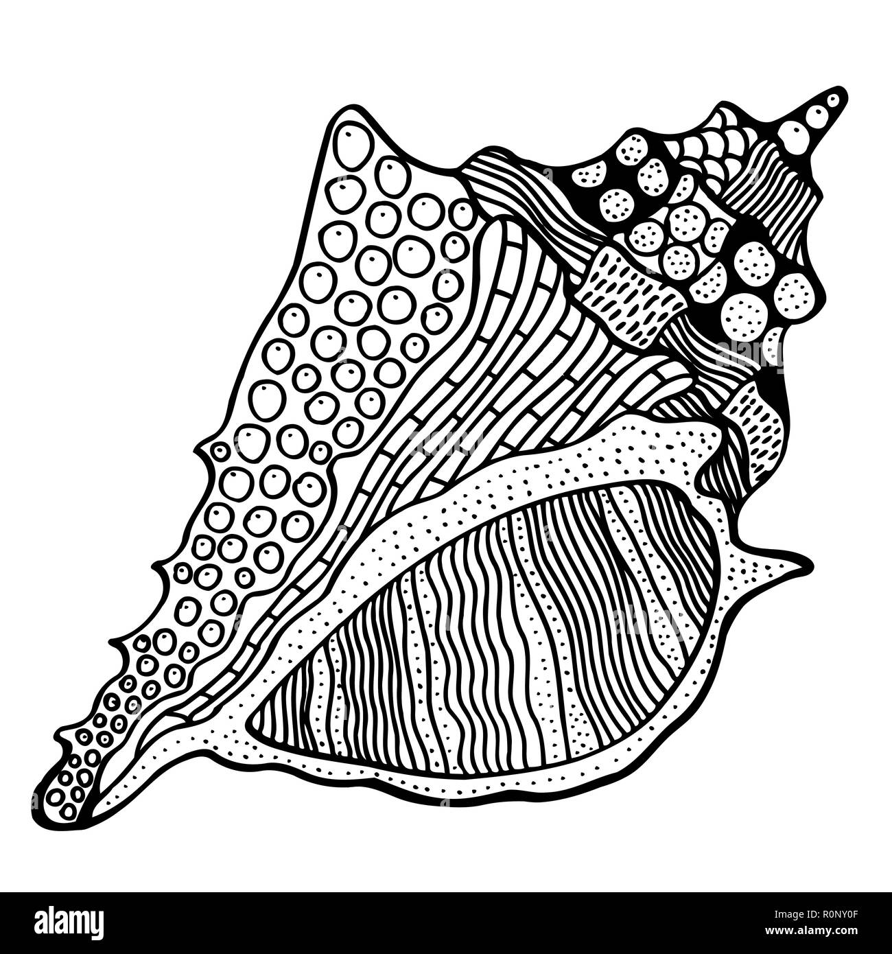 Zentangle stylized shell. Hand Drawn aquatic doodle vector illustration. Sketch for tattoo or makhenda. Seashell collection. Ocean life Stock Vector Image & Art - Alamy Zentangle stylized shell. Hand Drawn aquatic doodle vector illustration. Sketch for tattoo or makhenda. Seashell collection. Ocean life Stock Vector Image & Art - Alamy