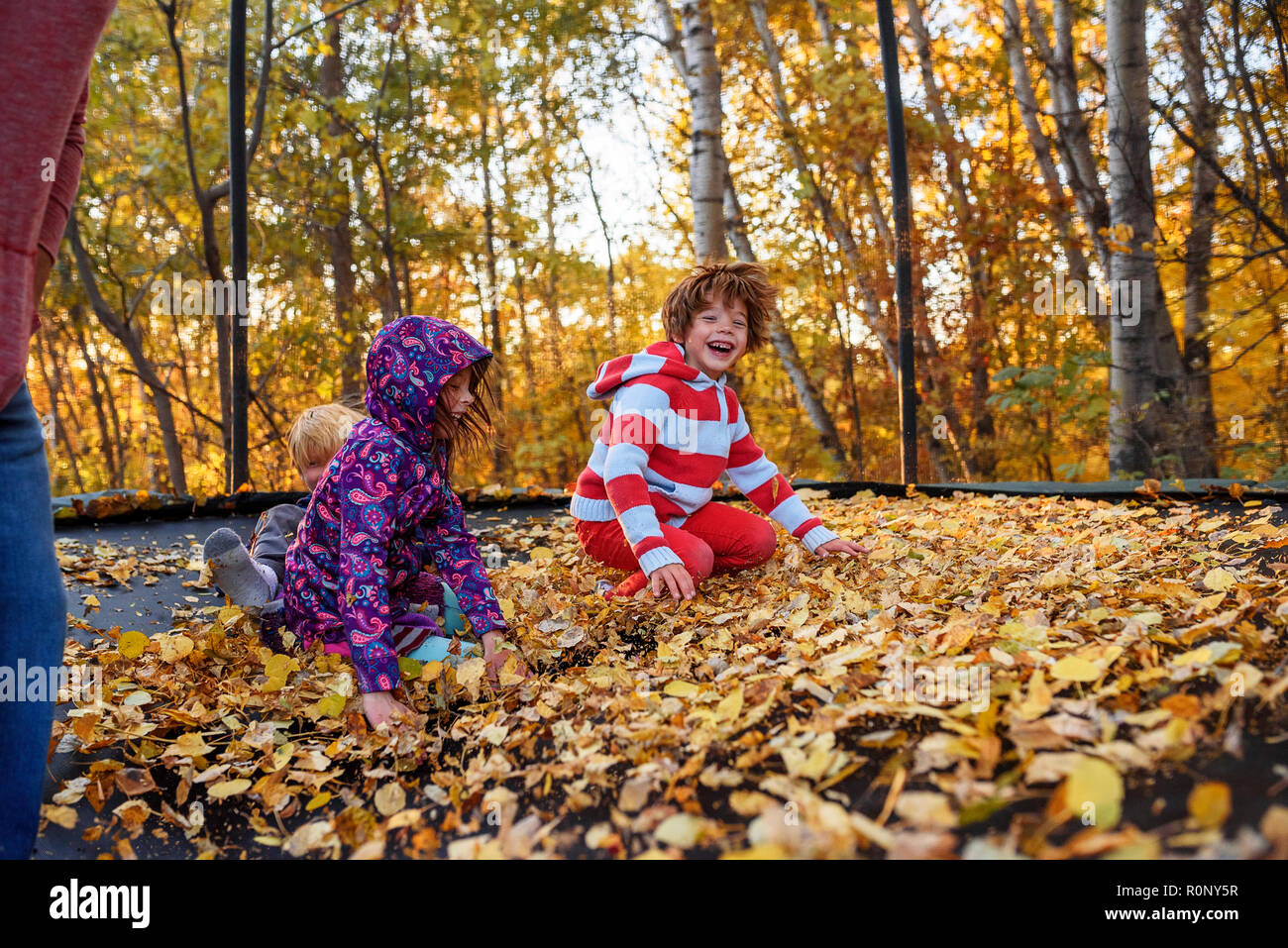 Three children with their father jumping on a trampoline covered in
