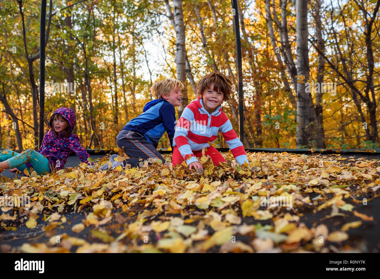Three children playing on a trampoline covered in autumn leaves, United