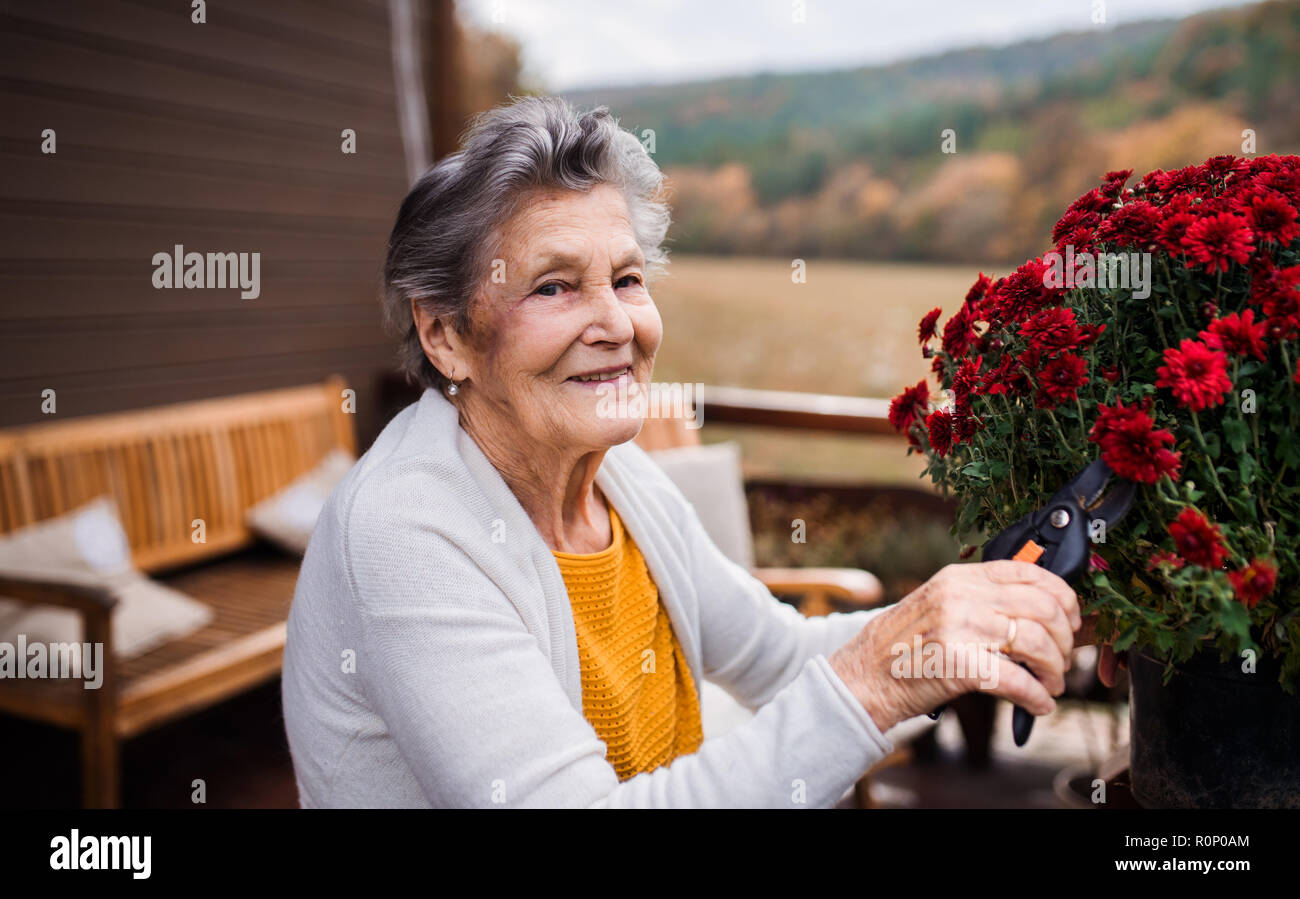 An elderly woman outdoors on a terrace on a sunny day in autumn. Stock Photo