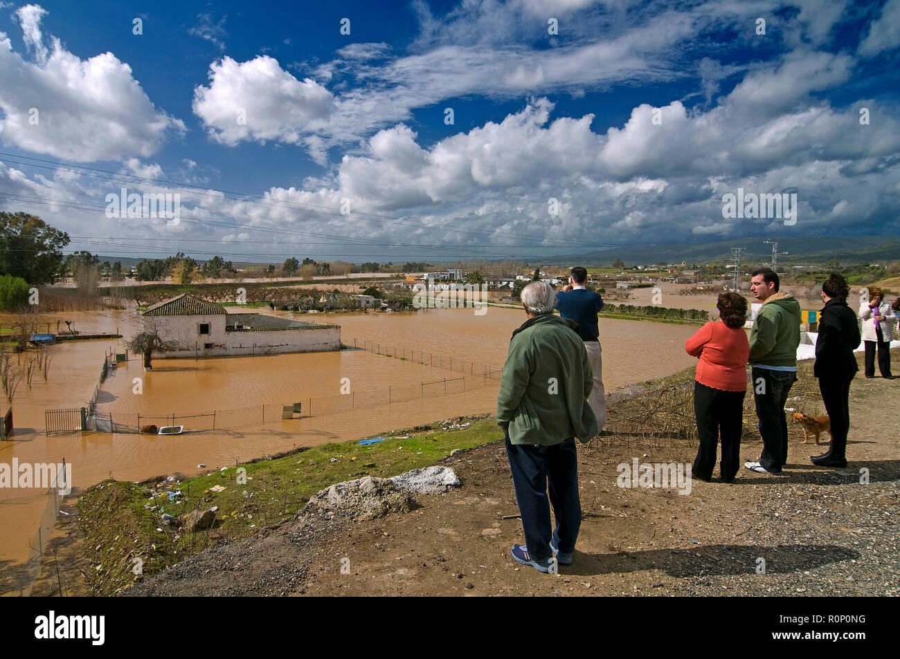 Flood water of the Guadalquivir river. Year 2010. -La Isla- Andujar. Jaen province. Region of Andalusia. Spain. Europe Stock Photo