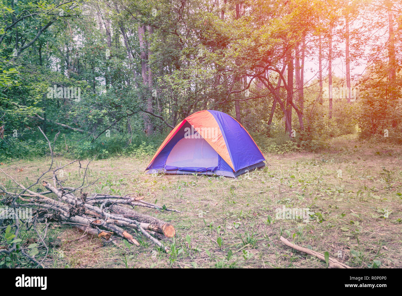 Tourist tent on the background of the forest Stock Photo - Alamy