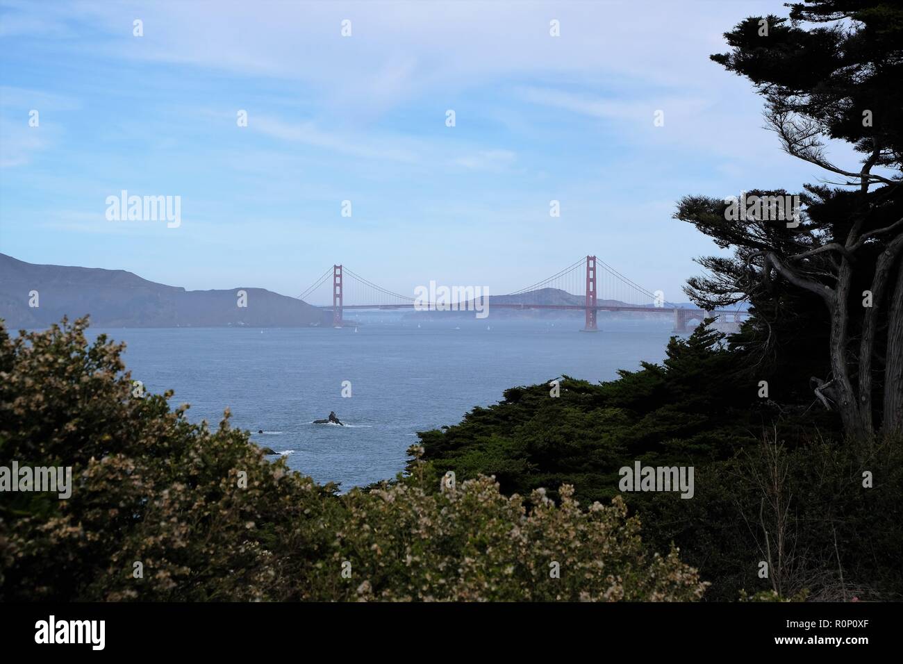 View of the Golden Gate Bridge from Point Lobos / Lands End near Ocean
