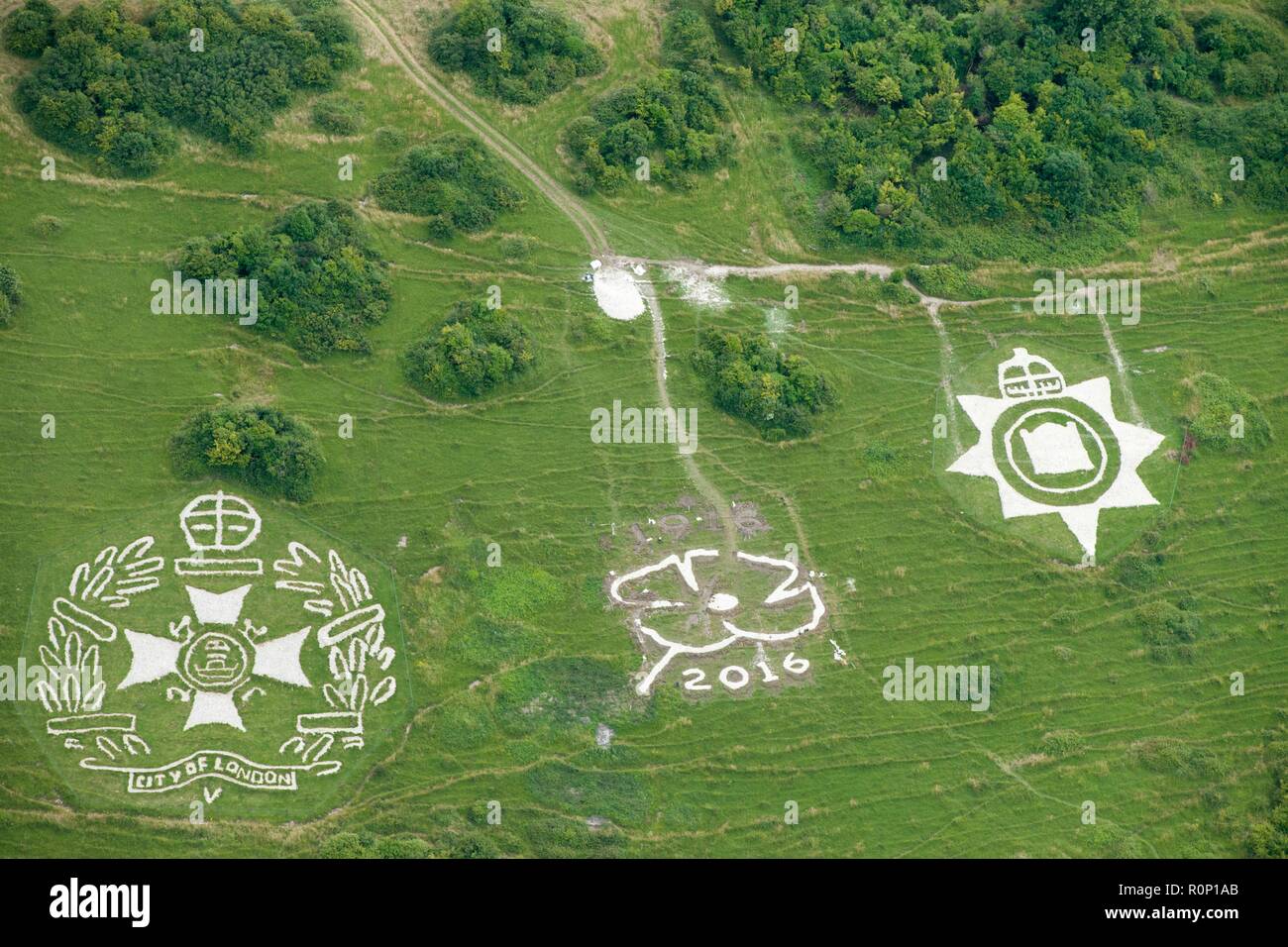 Chalk military badges, Fovant Down, Wiltshire, 2016. Creator Historic