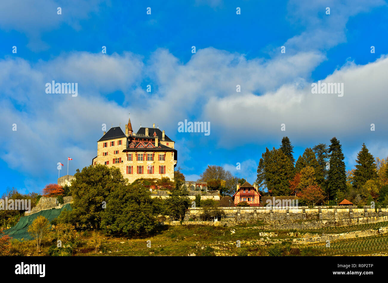 Castle of Menthon-Saint-Bernard, Château de Menthon, Menthon-Saint-Bernard, Haute-Savoie, France Stock Photo