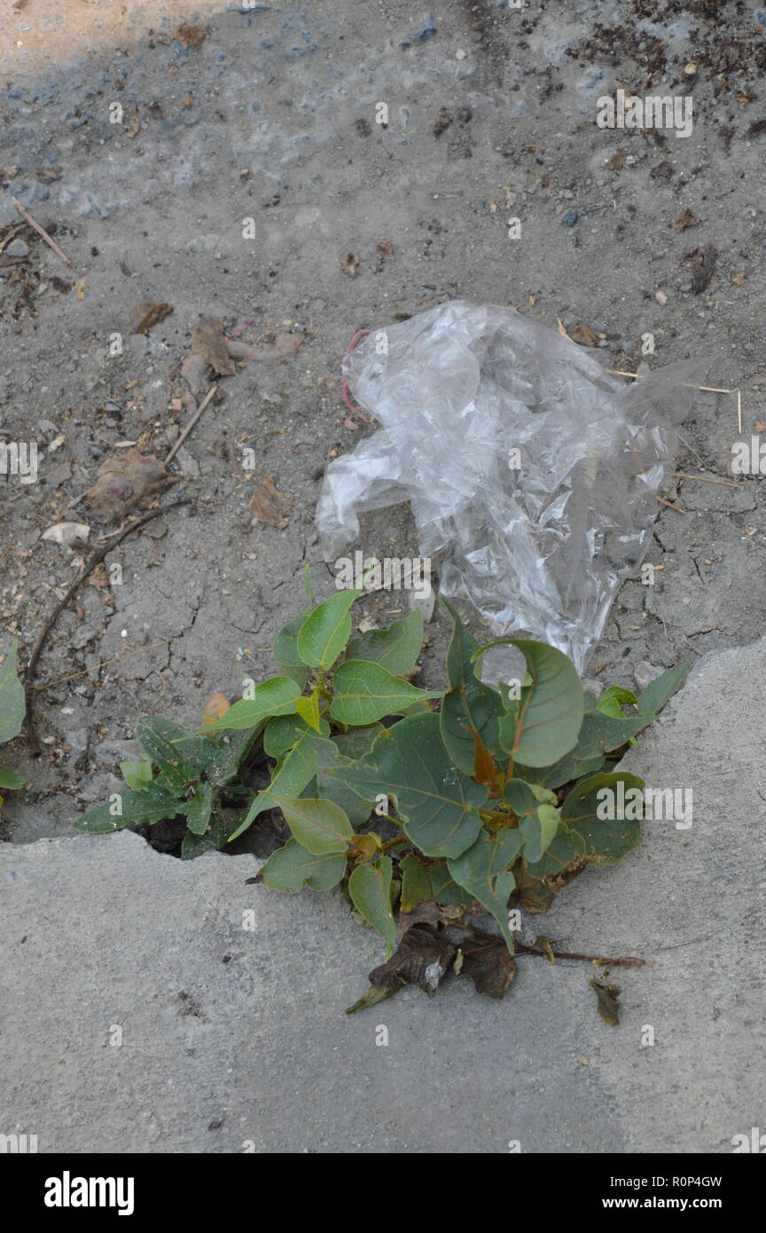plastic bag drop on the ground Stock Photo Alamy