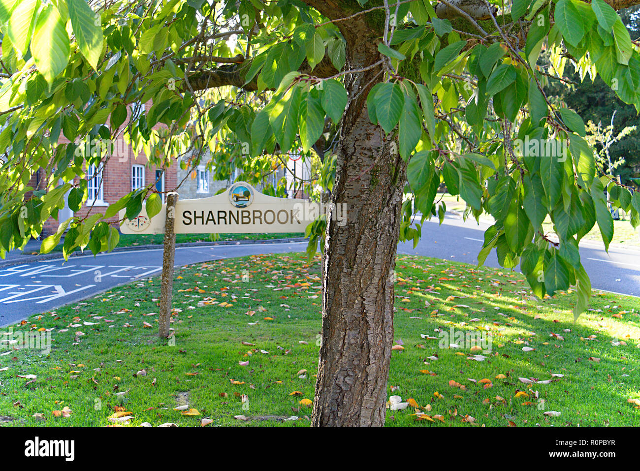 Sharnbrook Village Green with village signboard taken in autumn Stock Photo
