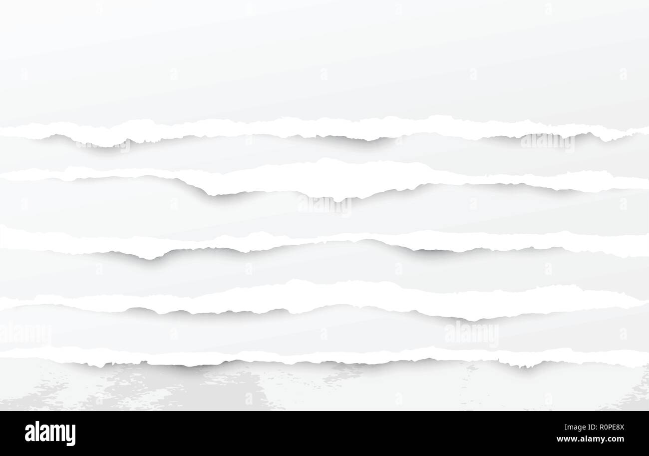 Set of white horizontal ripped paper strips, torn note paper for text ...