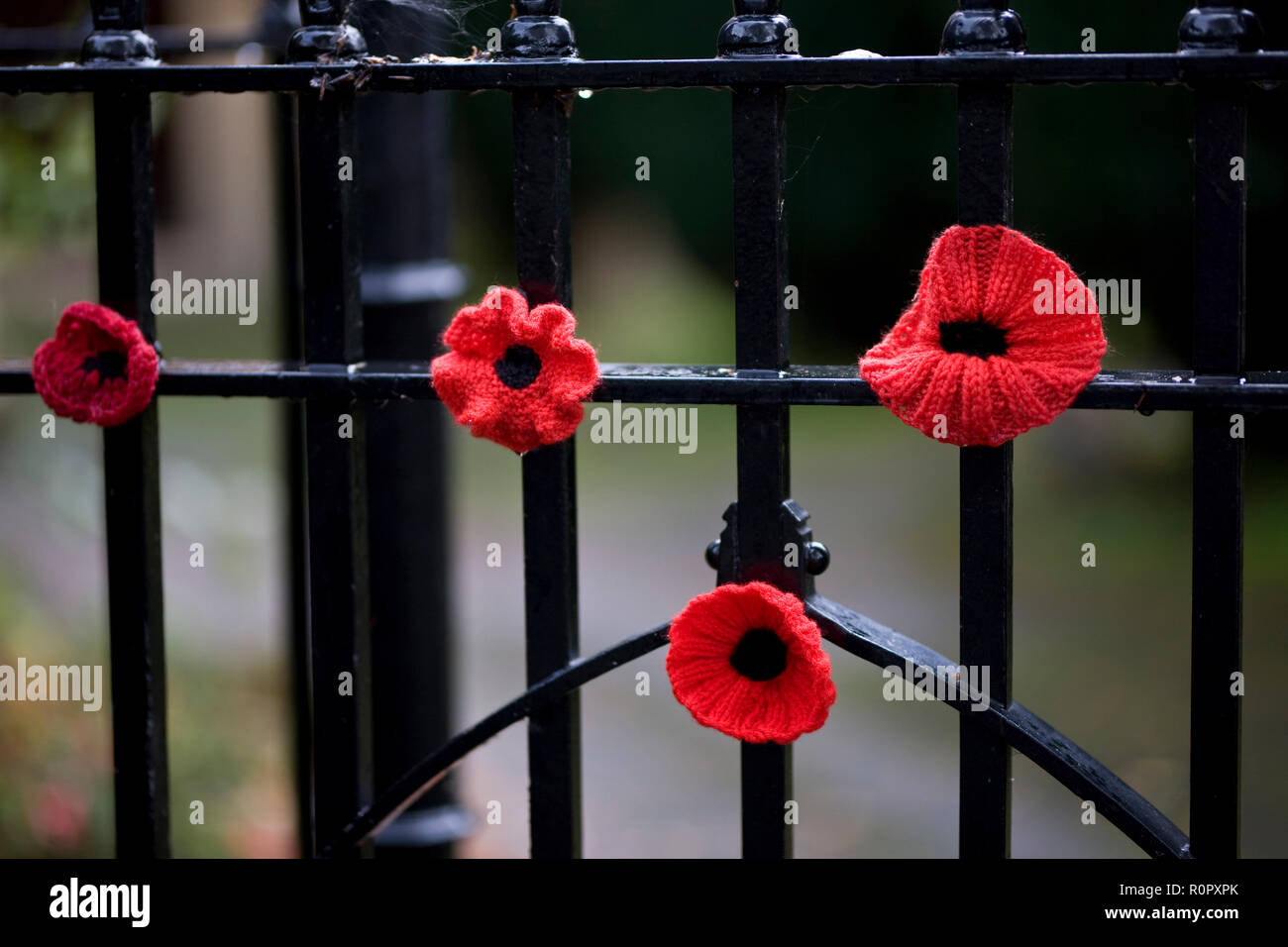 Bishopsteignton Village, South Devon. 7th Nov 2018. Bishopsteignton Village have come together with community groups including the local school, Scouts and Brownies to knit and crochet over 2,500 poppies to mark the end of World War 1. The poppies are adorning railings, gates and even bollards through the village to create a striking display to commemorate the 100 years since the end of WW1. Credit: Vicki Gardner/Alamy Live News Credit: Vicki Gardner/Alamy Live News Stock Photo