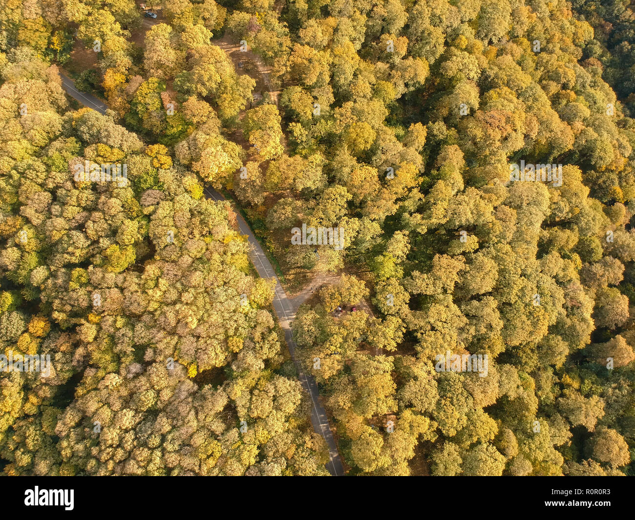 Aerial view at the road in beautiful autumn forest Stock Photo - Alamy