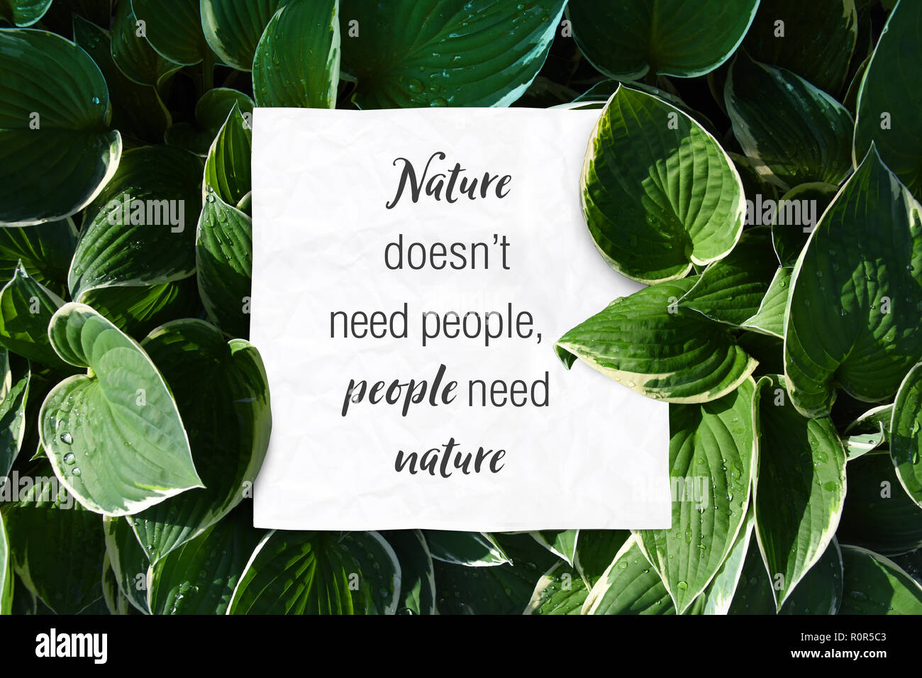 Text quote nature doesnt need people but people need nature save the world quotes Stock Photo