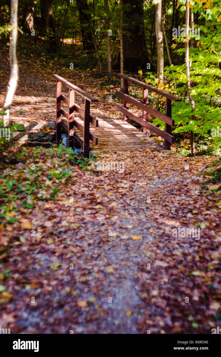Small wooden road bridge hi-res stock photography and images - Alamy