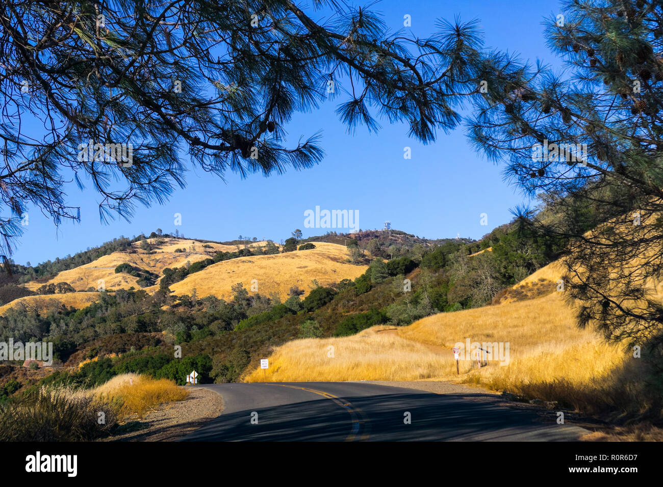 Road through Mt Diablo State Park, the summit and golden hills visible in the backgammon, Contra Costa county, San Francisco bay, California Stock Photo