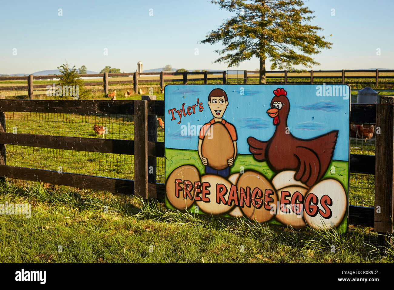 cartoonstyle sign offering free range eggs, Hoover's Farm Market, Amish Country, Lancaster