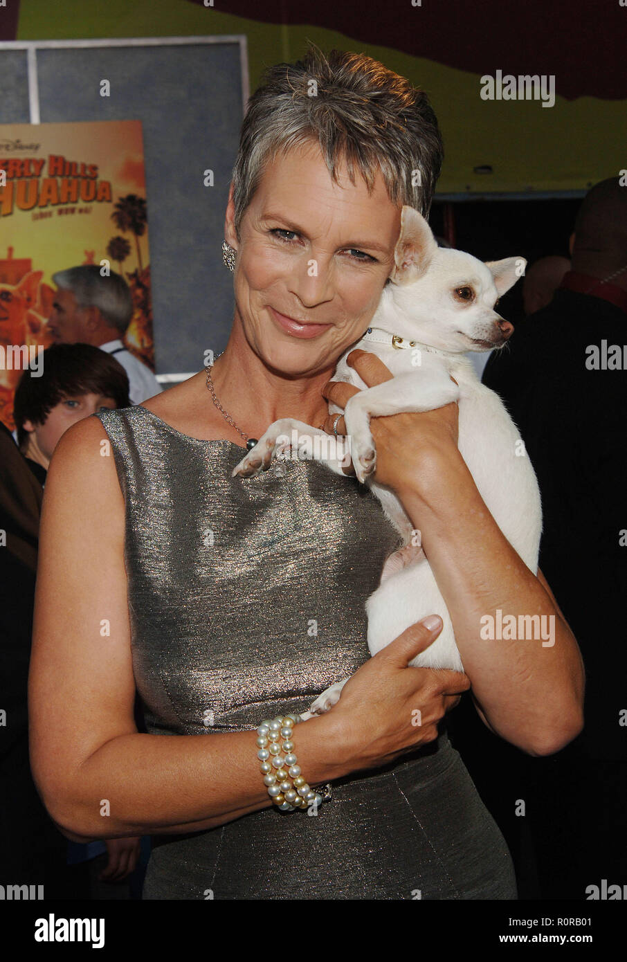 Jamie Lee Curtis posing the chihuahua Beverly Hills Chihuahua