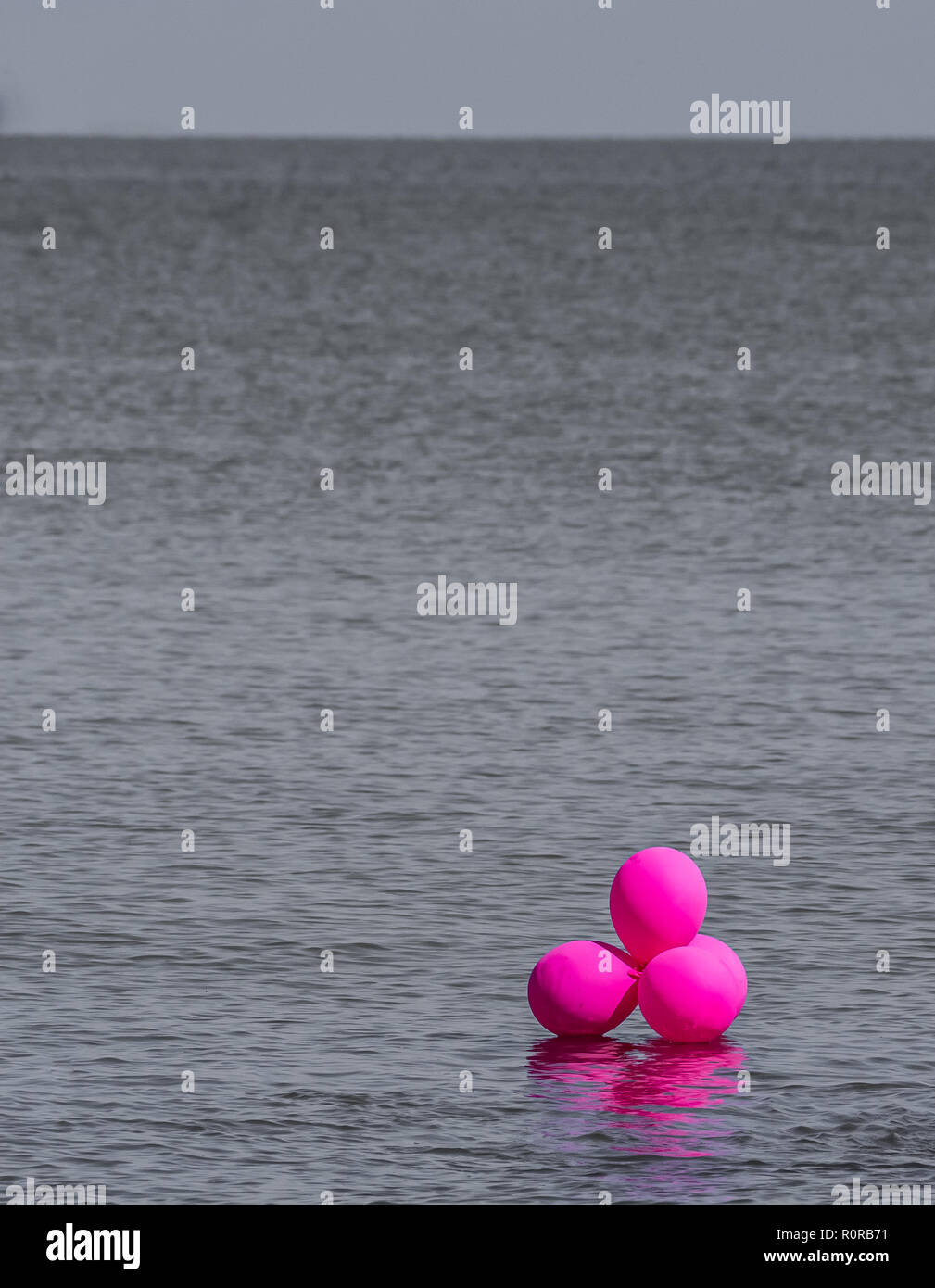 Pink balloons in the middle of the big ocean, representing a unique value, a total individual being Stock Photo