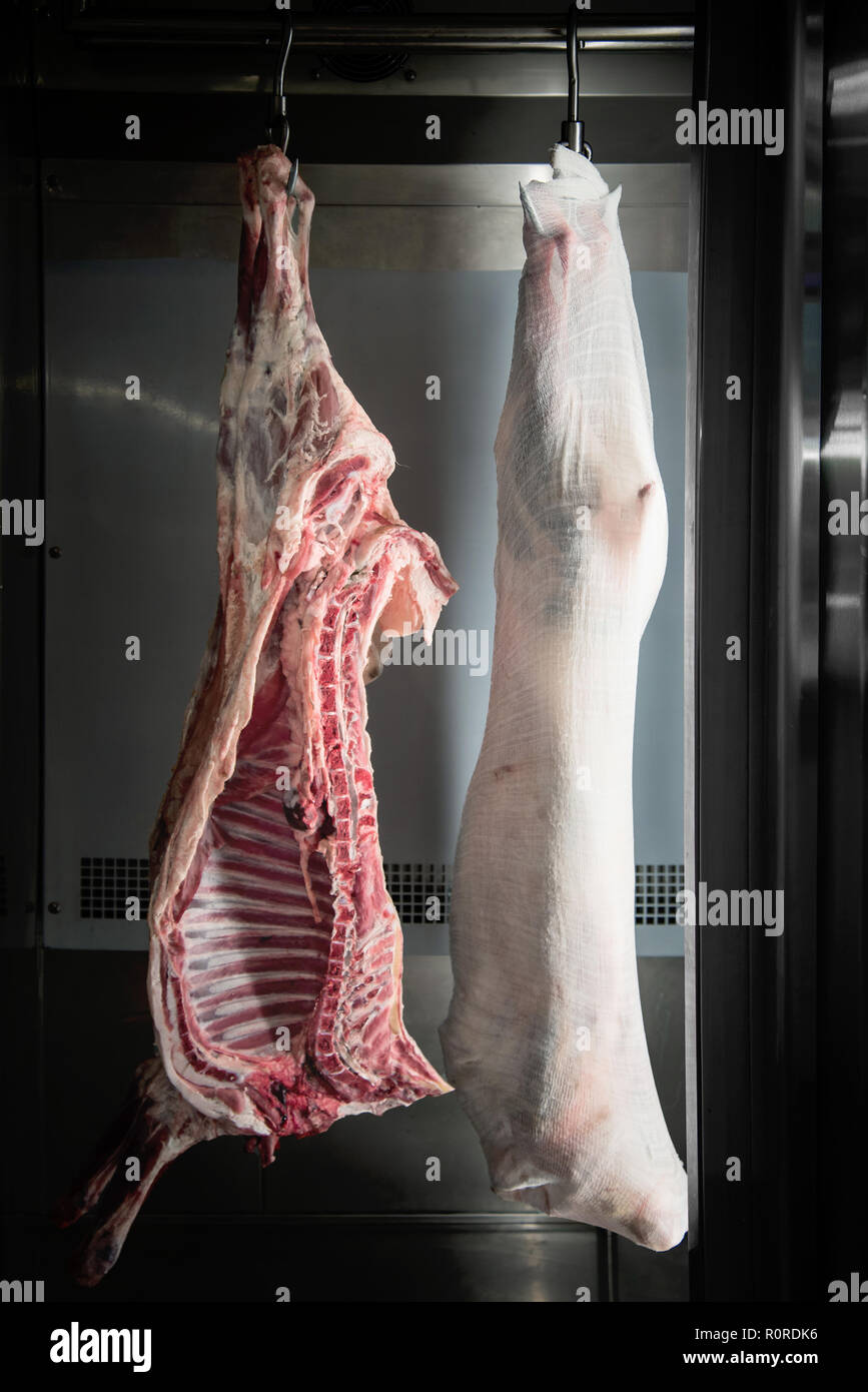 Frozen lamb meat in fridge Stock Photo