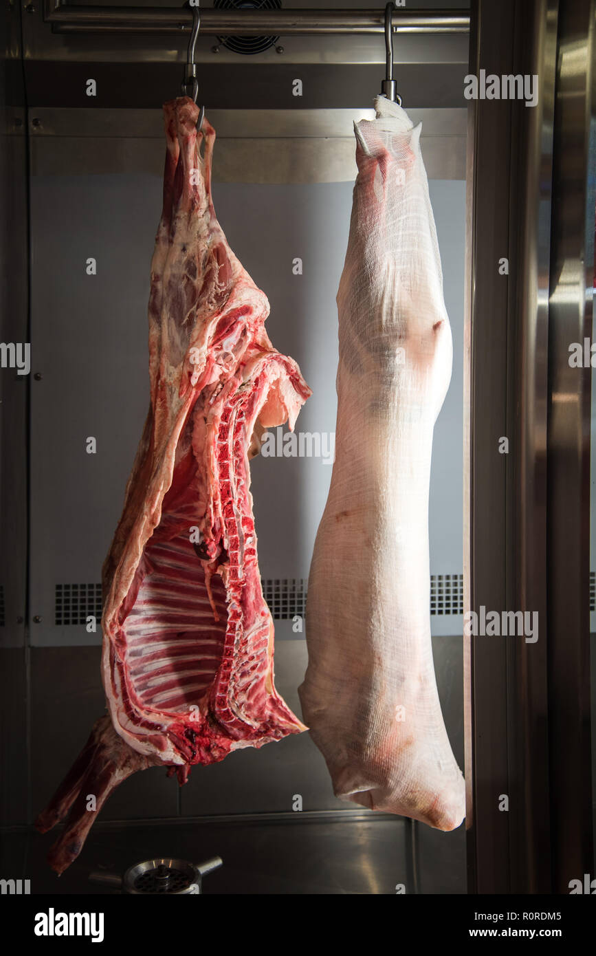 Frozen lamb meat in fridge Stock Photo